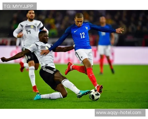 瓦雷赫姆与沙勒罗瓦队的精彩对决解析与赛前预测